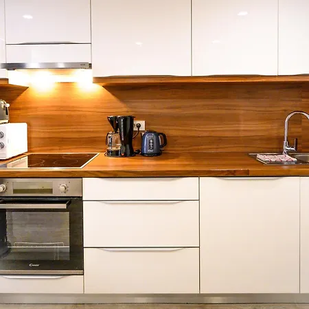 The Comfortable Loft Apartament