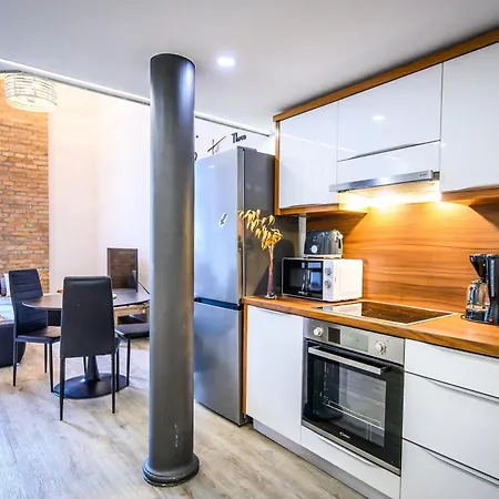 Apartament The Comfortable Loft Lublana